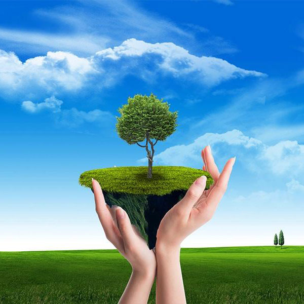 Joint Wise’s mission of sustainable and eco-friendly toys